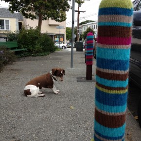 knit barrier