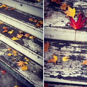 Fallen leaves in San Francisco. (photo by Courtney Cerruti)