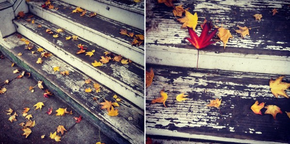 Fallen leaves in San Francisco. (photo by Courtney Cerruti)