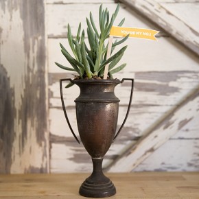 DIY Father's Day Succulent Planter