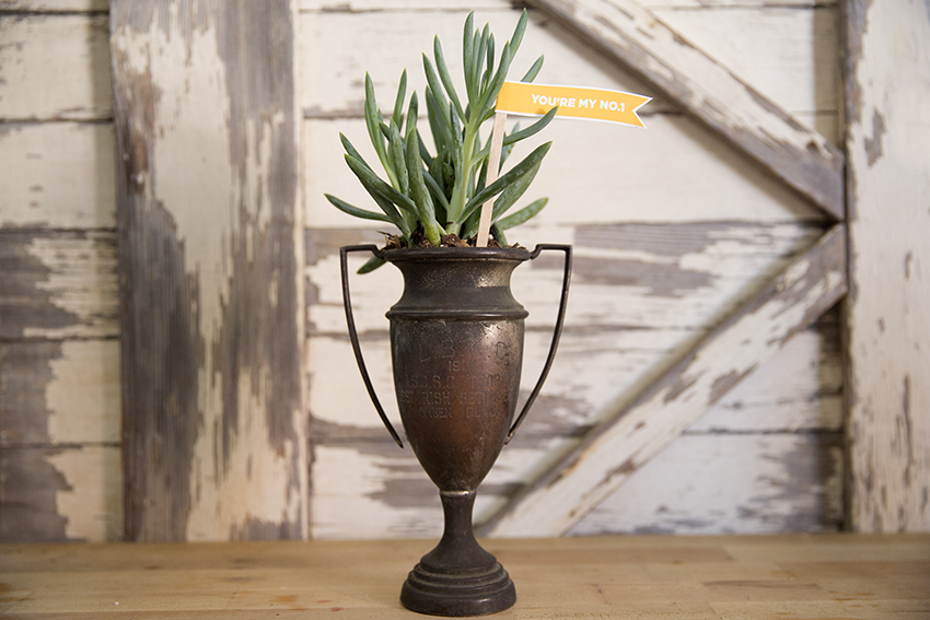 DIY Father's Day Succulent Planter