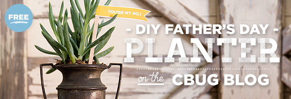 DIY Father's Day Planter