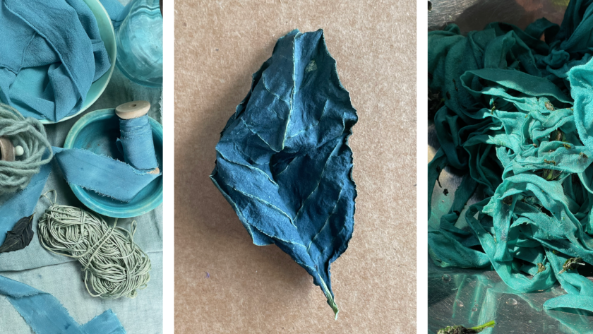 image of 3 photos showing a japanese indigo leaf and fabric dyed bluish green with indigo