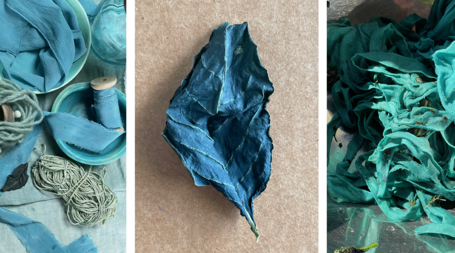 image of 3 photos showing a japanese indigo leaf and fabric dyed bluish green with indigo