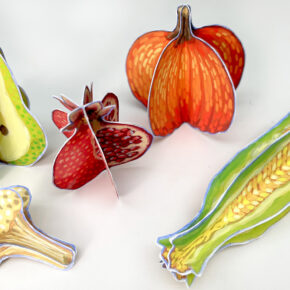 image of fall fruits and vegetables made of painted paper