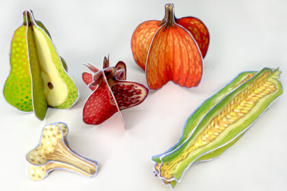 image of fall fruits and vegetables made of painted paper