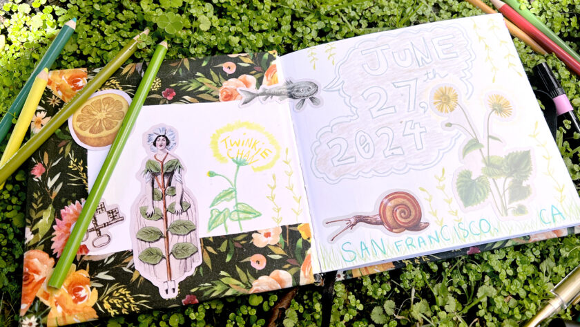 image of an open sketchbook on a bed of moss, pages revealing nature-inspired stickers and pencil drawings of flowers, snails, and strange creatures, plus colored pencils