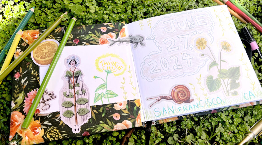image of an open sketchbook on a bed of moss, pages revealing nature-inspired stickers and pencil drawings of flowers, snails, and strange creatures, plus colored pencils