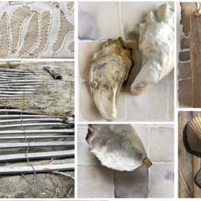 photo collage of various beach-related objects like sea shells, driftwood, and sand