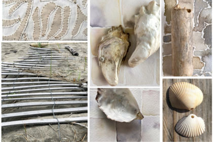photo collage of various beach-related objects like sea shells, driftwood, and sand