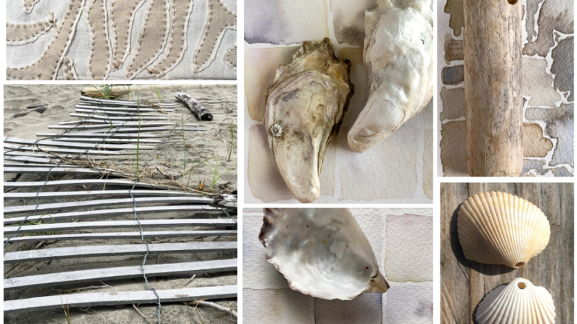 photo collage of various beach-related objects like sea shells, driftwood, and sand