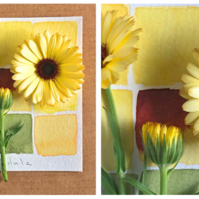 image of yellow flowers on top of a square sheet of watercolor paper with yellow and green paint swatches