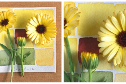 image of yellow flowers on top of a square sheet of watercolor paper with yellow and green paint swatches