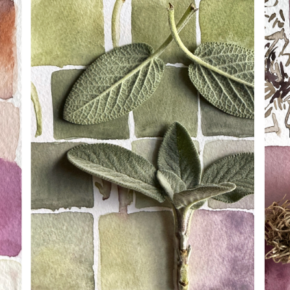 3 images of watercolor studies with square swatches in shades of purple and green with natural objects placed on top like garlic and sage leaves