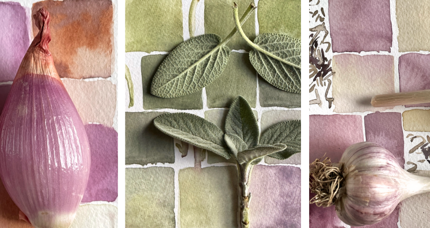 3 images of watercolor studies with square swatches in shades of purple and green with natural objects placed on top like garlic and sage leaves