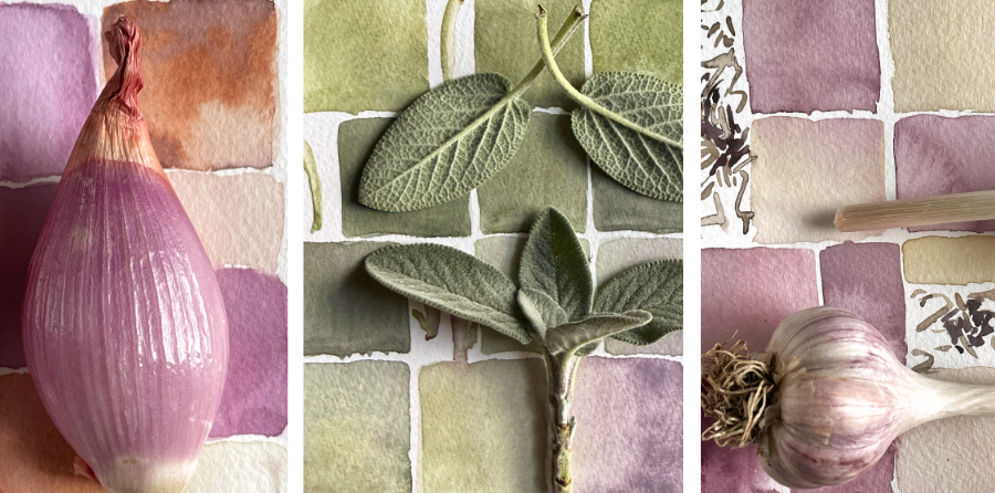 3 images of watercolor studies with square swatches in shades of purple and green with natural objects placed on top like garlic and sage leaves